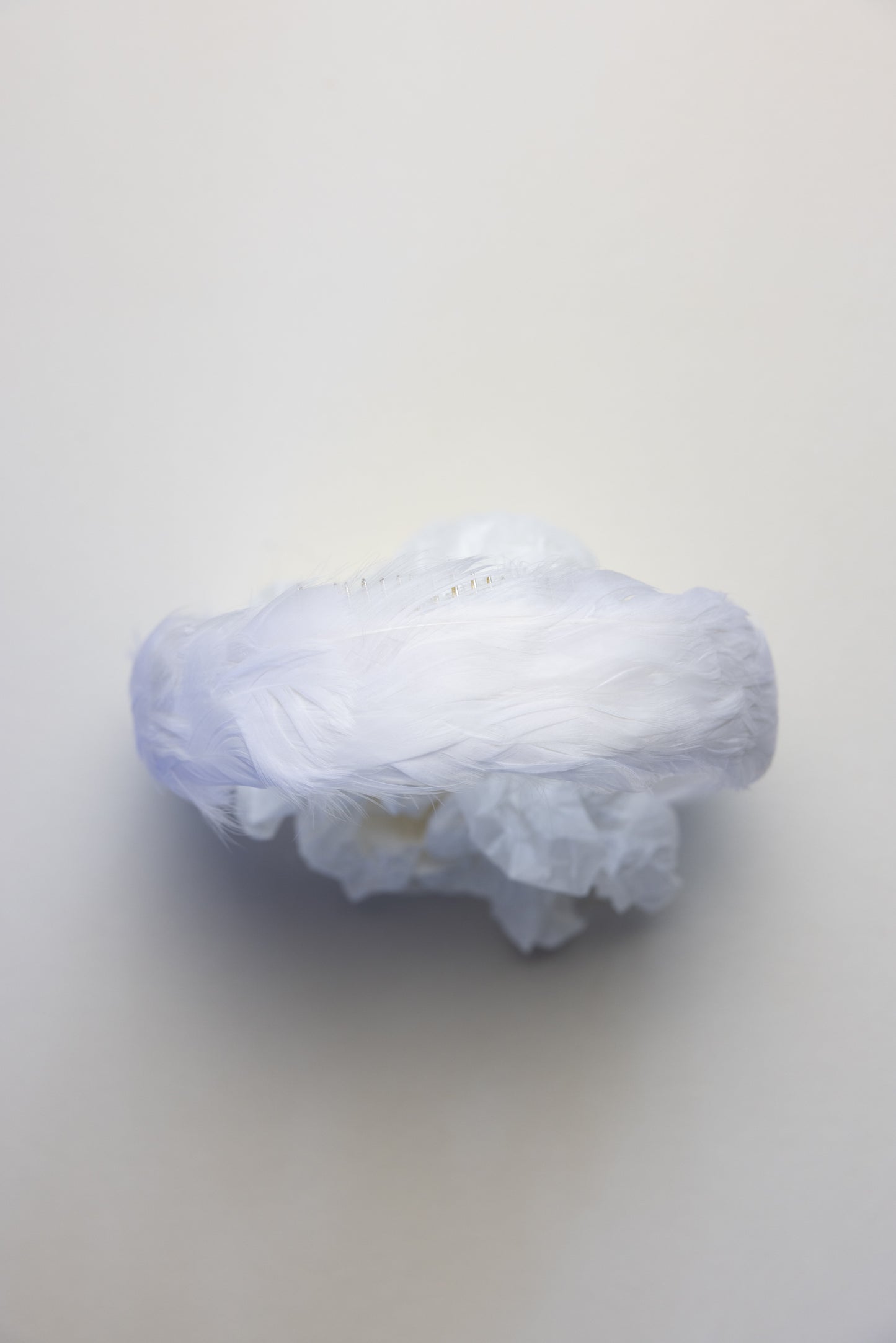 Diadema de plumas